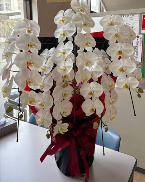 「花の店ＭＯＭＯ香」　（沖縄県うるま市）の花屋店舗写真4